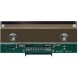 Термоголовка Dibal LP3300/3400 (80mm) - 200DPI, KF2003-GL50A
